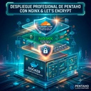 Pentaho con Cloudflare, Nginx, Let's Encrypt