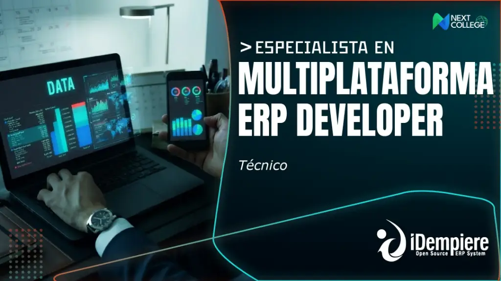 Multiplataforma ERP Developer